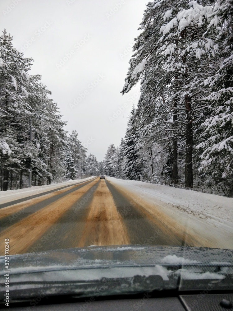 Fototapeta premium road in winter forest