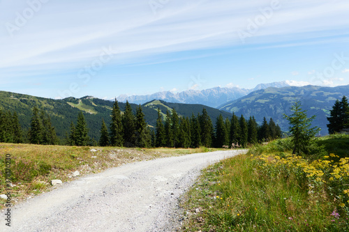 Untouched alpine nature near Zell am See in Austria one summer afternoon - August 25, 2020