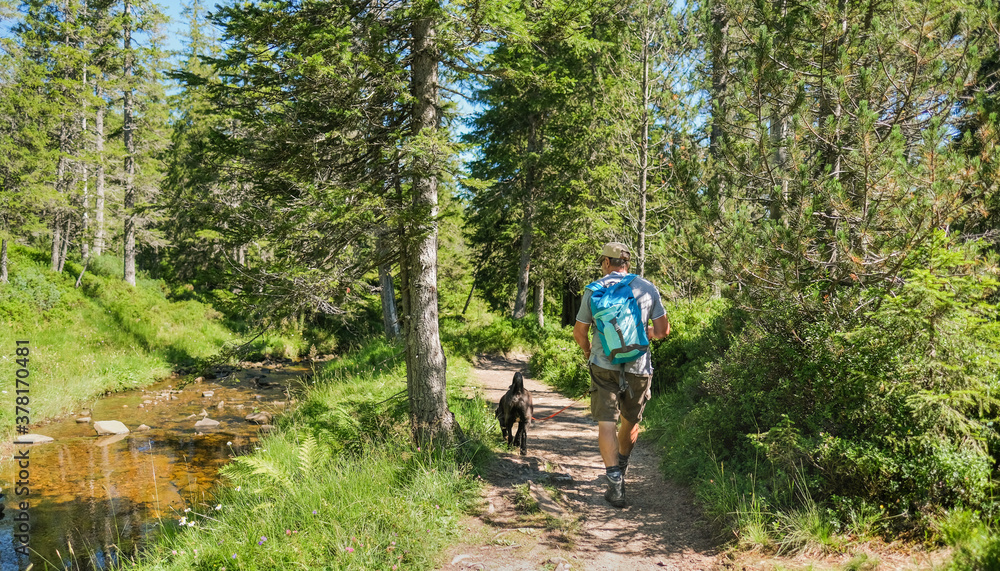 Acitve senior man with dog hiking in forest - Weekend acitvity