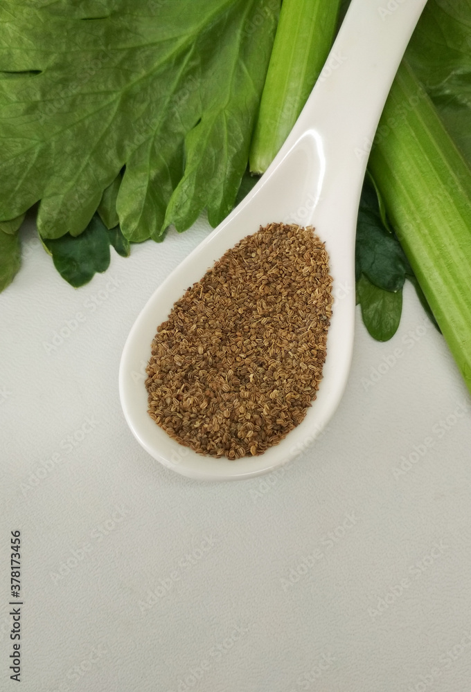 celery seeds, stem and leaves of organic celery on porcelain spoon on white background with copy space celery seeds, stem and leaves of organic celery on porcelain spoon on white background with copy space