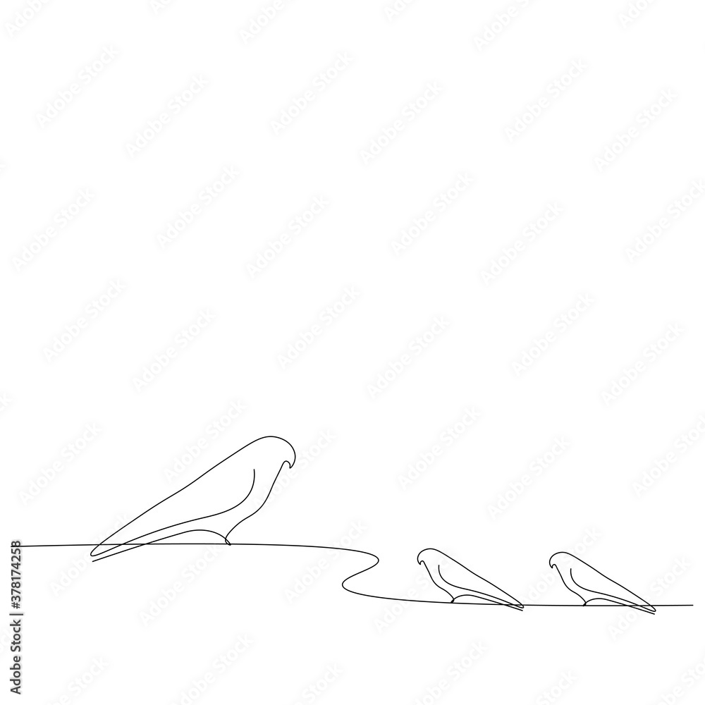 Birds line drawing on white background, vector illustration Birds line drawing on white background, vector illustration