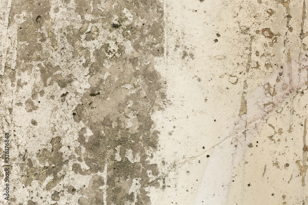 Fototapeta premium texture