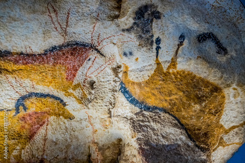 Wall Mural La Grotte de Lascaux IV