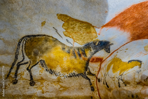 Fototapeta La Grotte de Lascaux IV