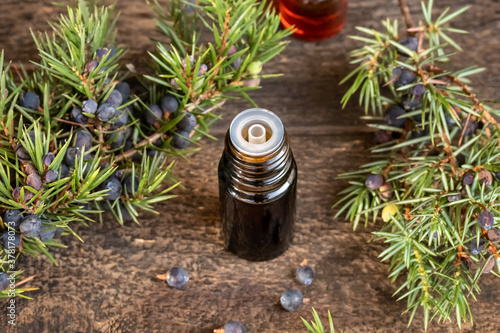 A bottle of essential oil with fresh juniper branches photo