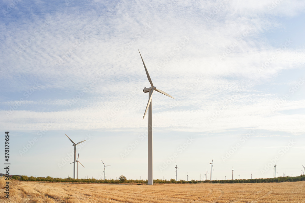 Wind turbines. Landscape at sunrise with windmills. Wind turbines. Landscape at sunrise with windmills.