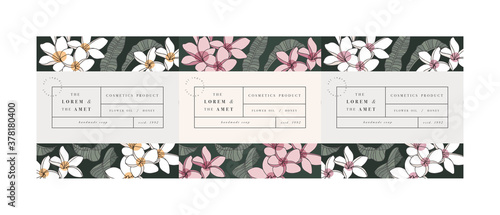 Vector set pattens for cosmetics with label template design. Patterns or wrapping paper for package and beauty salons. Plumeria flowers. Organic, natural cosmetic.
