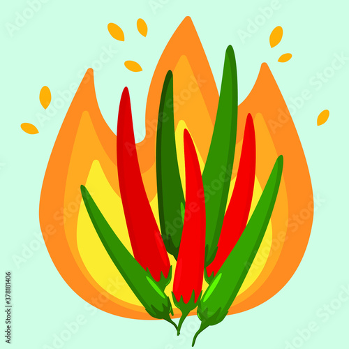bouquet of chili peppers on the background of fire