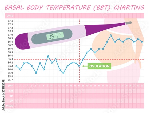 BBT chart basal body day get IUD sex care date plot stop test birth cycle first graph level mucus paper patch phase tract Corpus detect family health luteal luteum method mother record consult period
