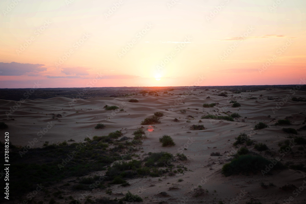 Fototapeta premium yellow sand on the dune
