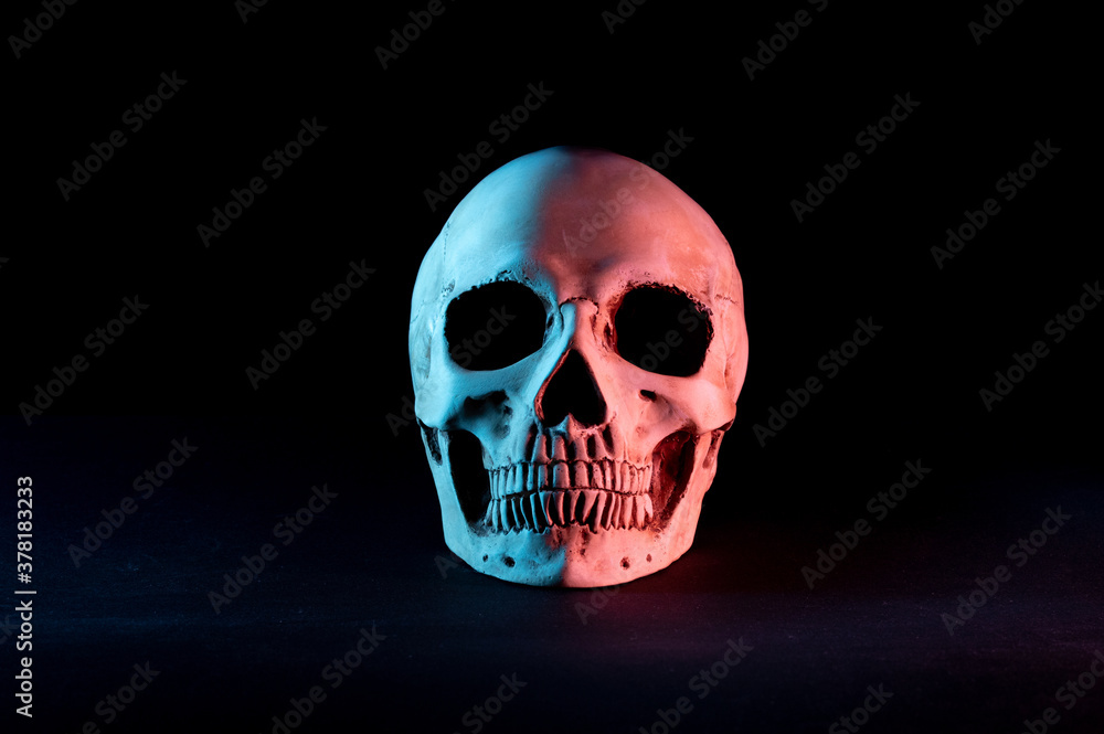 Obraz premium Human skull on a black background. Skull with blue and red illumination. Front view.