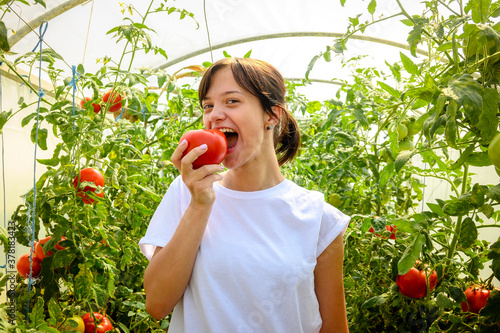 Beautiful woman in white shirt eating red, ripe tomato in garden.