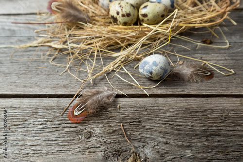 .Quail eggs in a nest made of straw on a wooden background