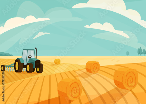 Wheat field landscape vector illustration after haymaking with tractor. Nature farm scenery with golden yellow haystack rolls. Bright summer countryside view