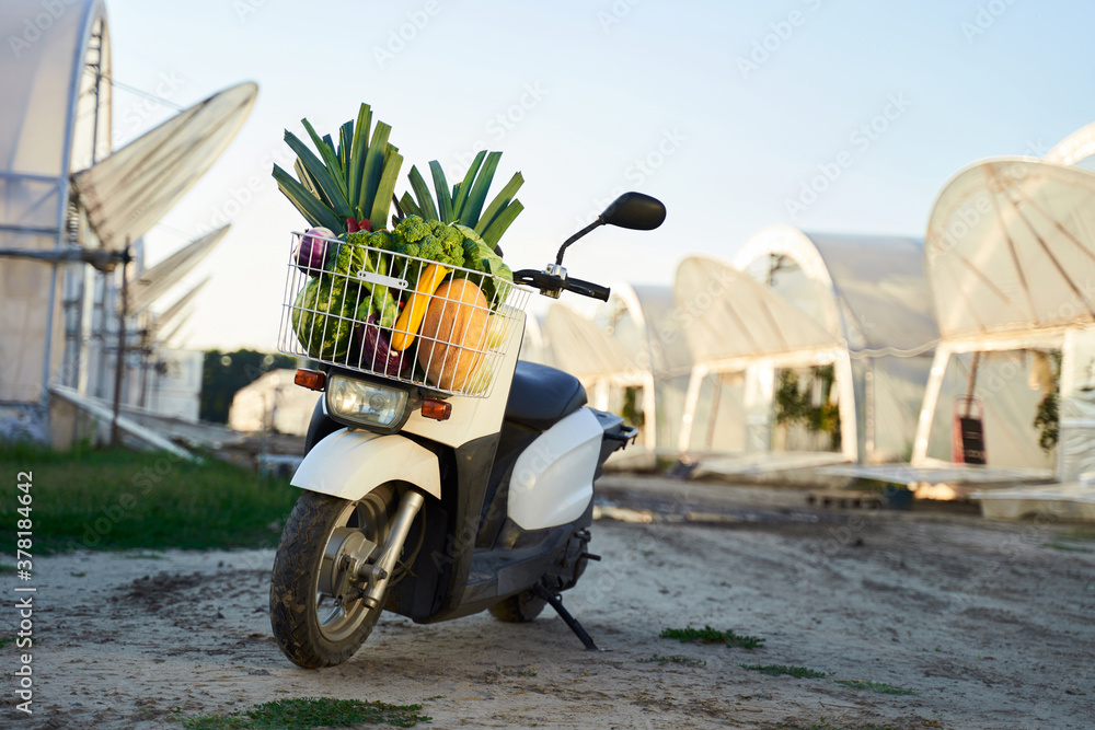Scooter with fruits and vegetables in basket