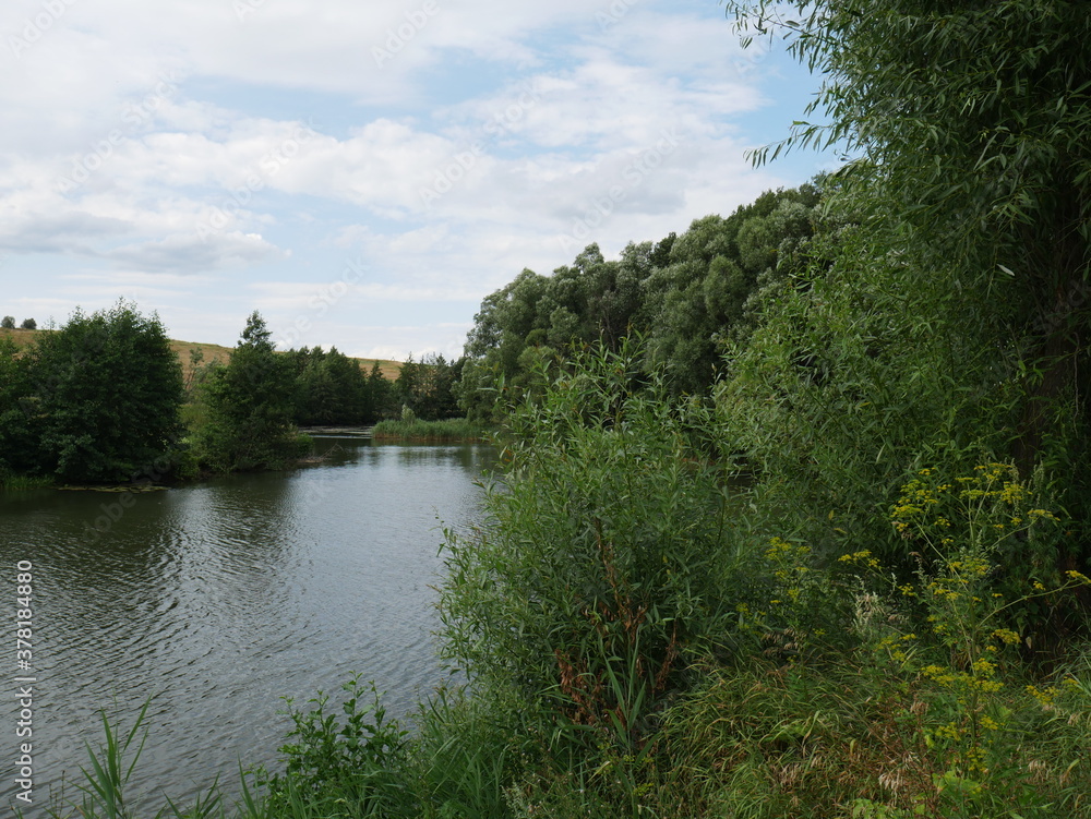 rural landscape with river and forest. Summertime