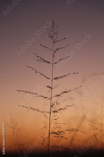 Sunset and Nature