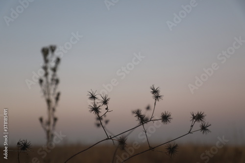 Sunset and Nature