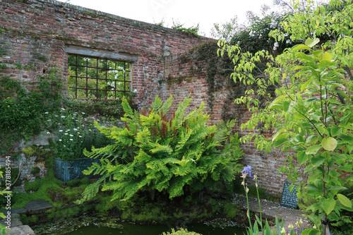 englischer Cottage Garten mit Backsteinmauer  photo