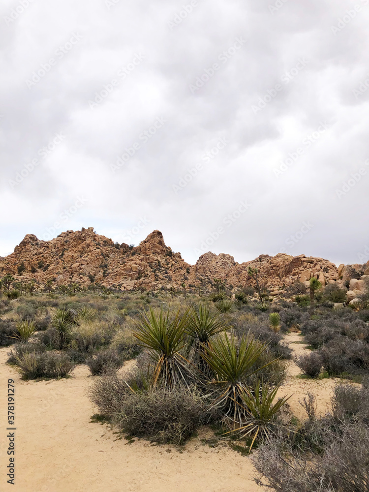 Desert Landscape, Rock Cliffs and Cloudy Sky in Joshua Tree National Park, California, USA
