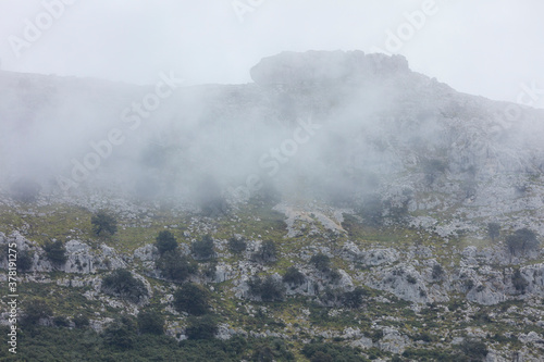 Fog in the Cantabrian holm oak grove of Monte Candina, in the Liendo Valley in the autonomous community of Cantabria, Spain, Europe © JUAN CARLOS MUNOZ