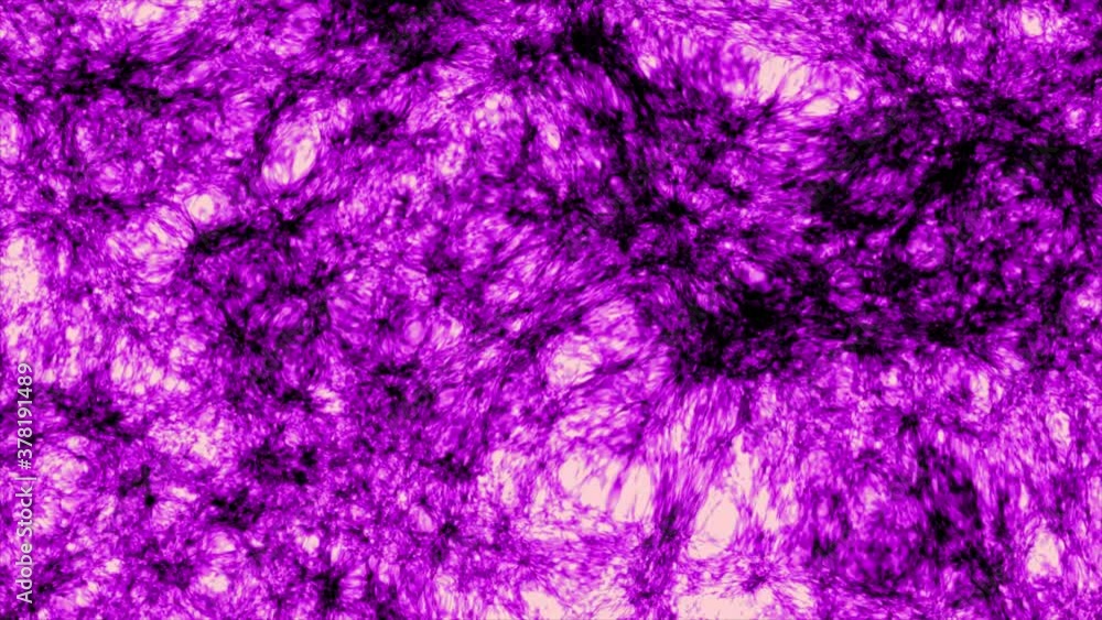 purple background - acid dinamic purple background - acid dinamic