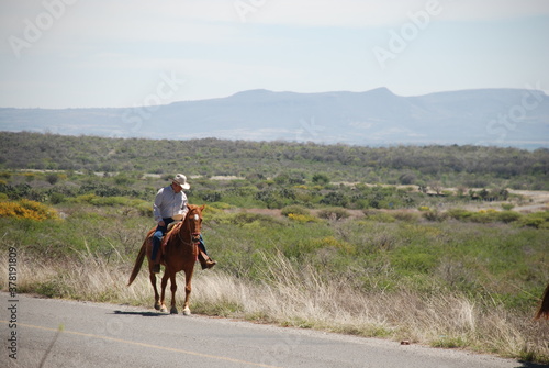 horse riding in the mountains