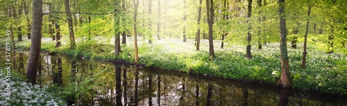 Small river in a green Stochemhoeve park in Leiden, the Netherlands. Picturesque panoramic spring landscape. Travel destinations, eco tourism, ecology, pure nature, environmental conservation photo