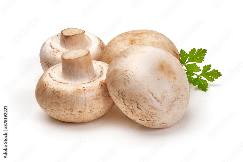 Champignon mushrooms, isolated on white background Champignon mushrooms, isolated on white background