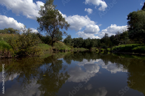 Lake with willows on green grassy shores on a summer sunny day. Reflections of white clouds and blue sky in the lake.