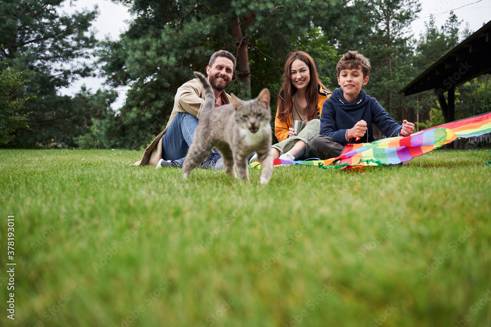 Fototapeta premium Happy family having picnic and looking at cute cat