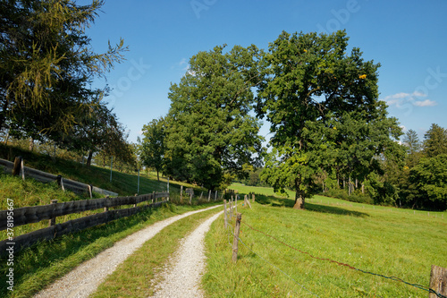 road in the countryside