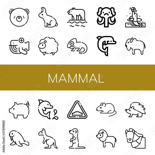 Set of mammal icons