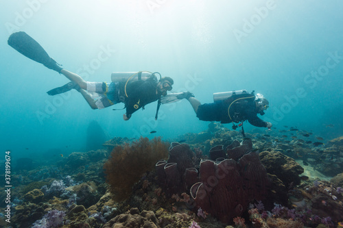 Wallpaper Mural Scuba diver buddy team diving underwater Torontodigital.ca