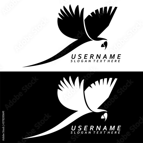 parrot birds logo design icon vector