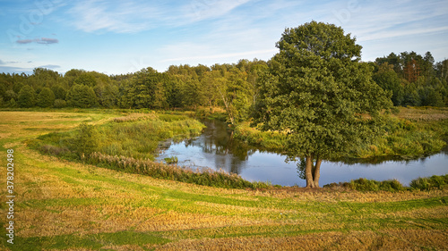 Obraz na płótnie Summer background with alder tree on riverbank. Agriculture fields after harvest w salonie