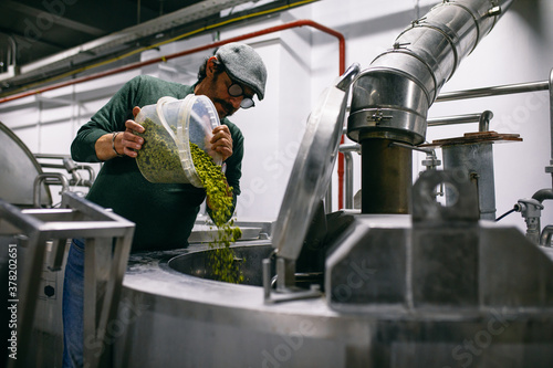 Male brewer adding hop into beer photo
