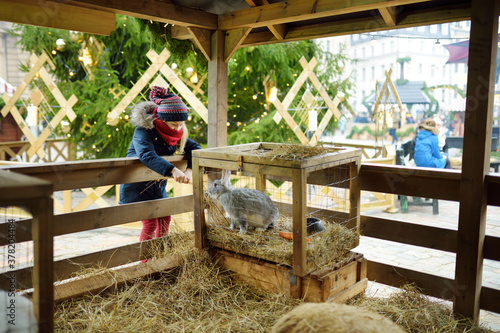 Cute young girl having fun feeding bunnies and sheep in a small petting zoo on traditional Christmas market in Riga, Latvia. Happy winter activities for kids.