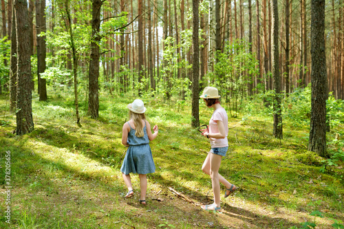 Fotografie, Obraz Two cute young sisters having fun during forest hike on beautiful summer day