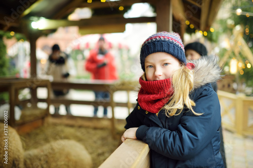 Cute young girl having fun feeding bunnies and sheep in a small petting zoo on traditional Christmas market in Riga, Latvia. Happy winter activities for kids. © MNStudio