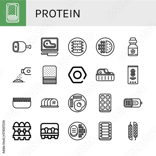 protein icon set
