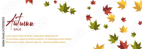 Autumn horizontal design with colorful falling leaves. Place for text. Vector illustration