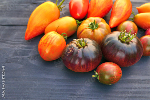Heirloom colorful tomatoes on dark wooden background.