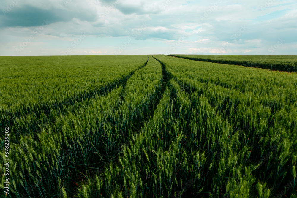 Farmland Farmland