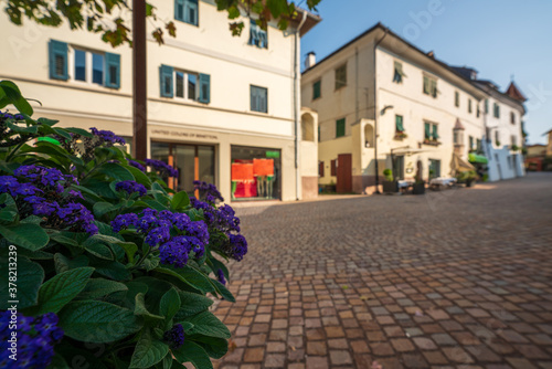 Fototapeta Naklejka Na Ścianę i Meble -  The old town of Eppan in the Italian South Tyrol with prominent flowers in the foreground and defocused architecture in the background.