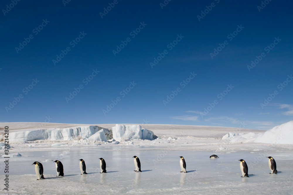 Antarctica visual data 7
