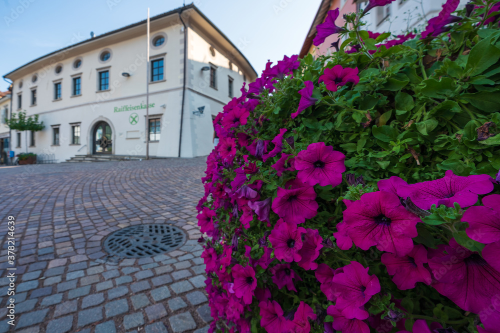 The old town of Eppan in the Italian South Tyrol with prominent flowers in the foreground and defocused architecture in the background.