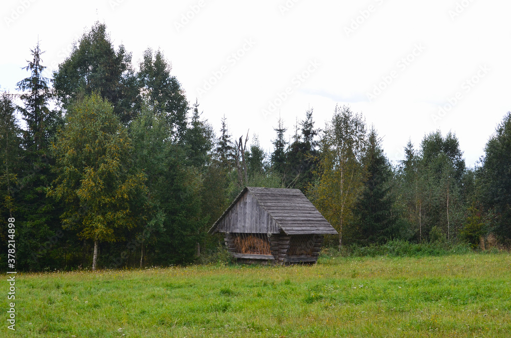 Wooden feeder for deers on a green meadow near forest in autumn Wooden feeder for deers on a green meadow near forest in autumn