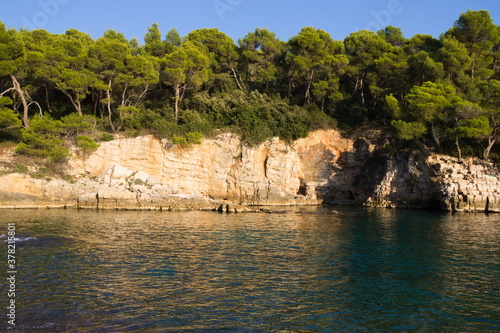 Vue sur une partir de la mer adriatique et sur une petite falaise rocheuse couverte d'une forêt près de Pula en Croatie