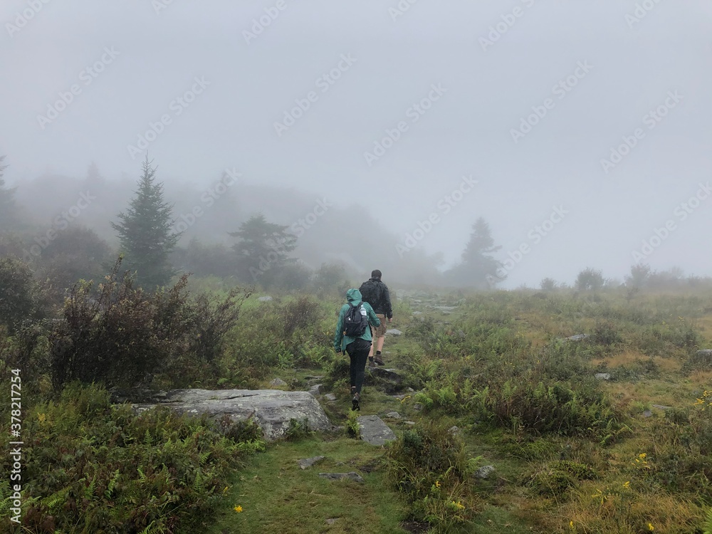 Mount Rogers - Grayson Highlands State Park, VA